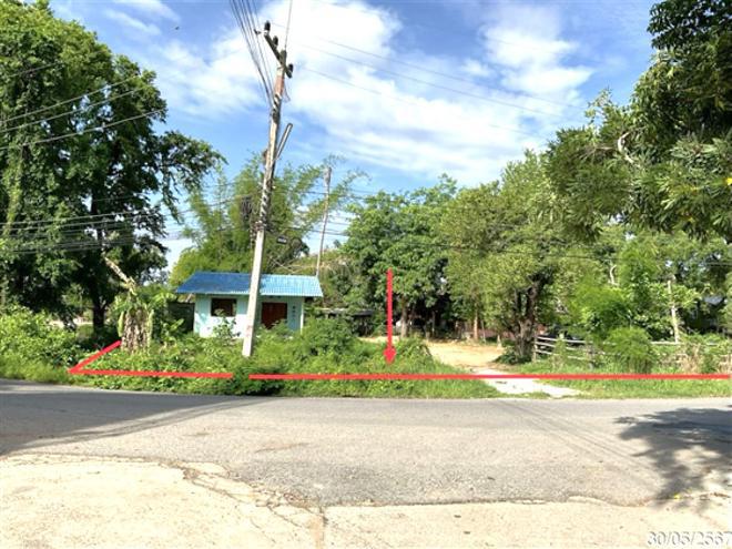 หนองไผ่แบน เมืองอุทัยธานี อุทัยธานี